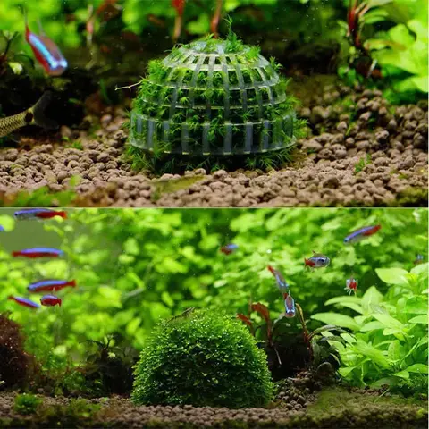 1PC 플라스틱 수족관 이끼 공 필터 수생 애완 동물 용품 새우 물고기 탱크 장식 애완 동물 제품 물고기 탱크 장식