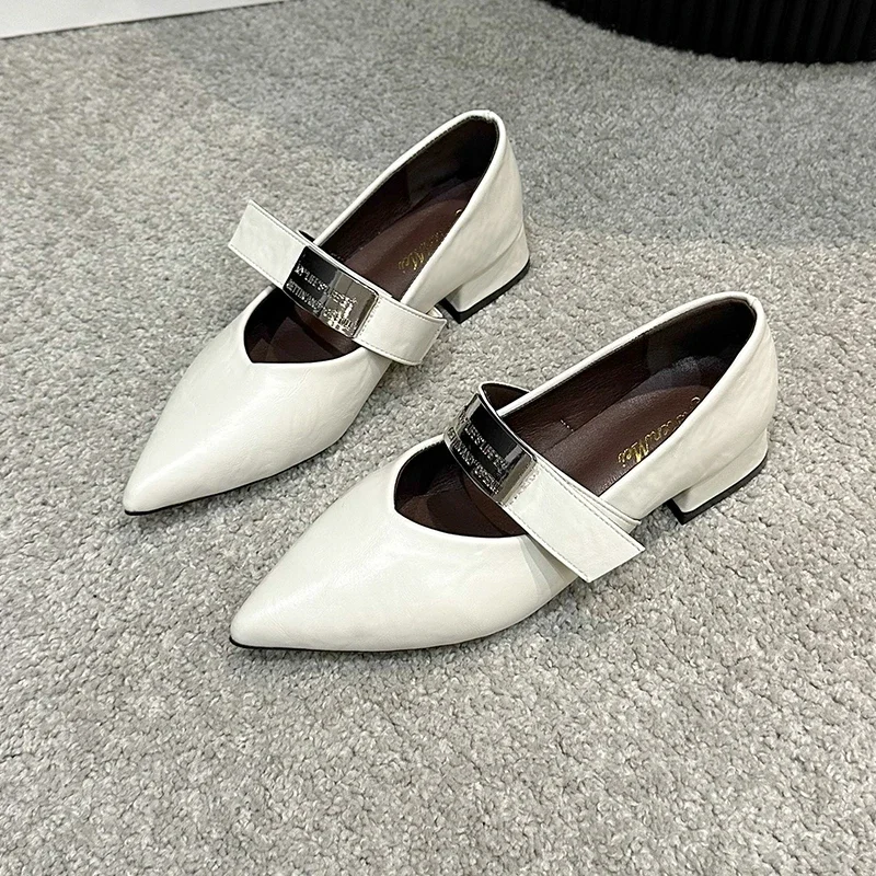 

Spring Fashion Women;s Pumps Shoes Pointed Toe Low Heel Shoes Metal Buckle Mary Janes Leisure Versatile Workplace Zapatos Mujer