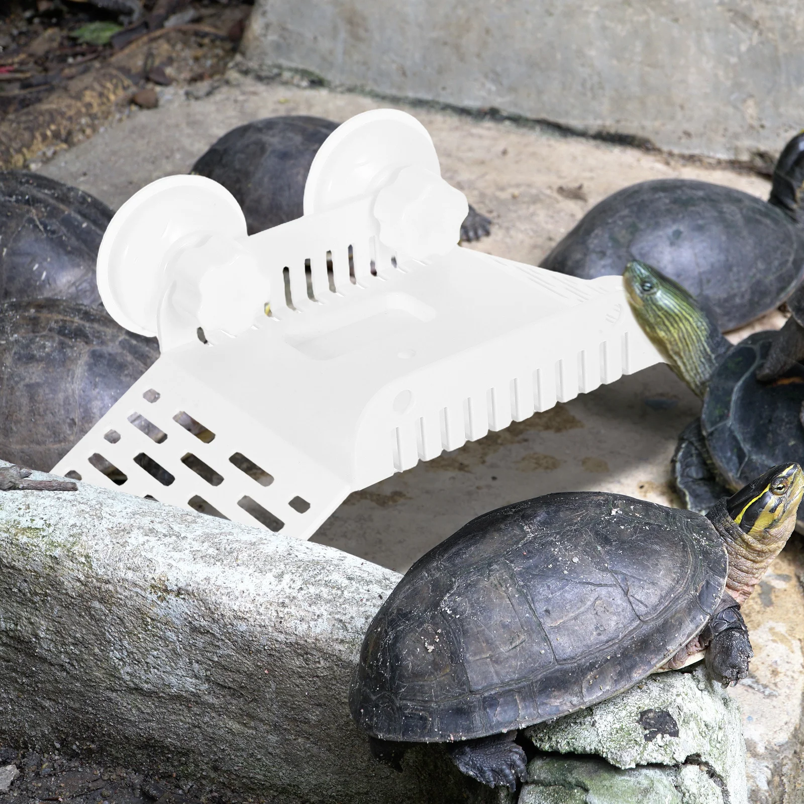 

Turtle Basking Platform White Suction Cup Floating Climbing Ramp Turtle Tank Aquarium Dock Reptile Habitat Terrace