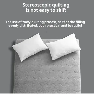 قابل للطي مهجع الطلاب سميكة دافئة لحم الضأن المخملية تاتامي الشتاء فراش سرير بطابقين مزدوج فراش المنزل أعلى 6 مبيعات لمراتب العشب - رقم 6