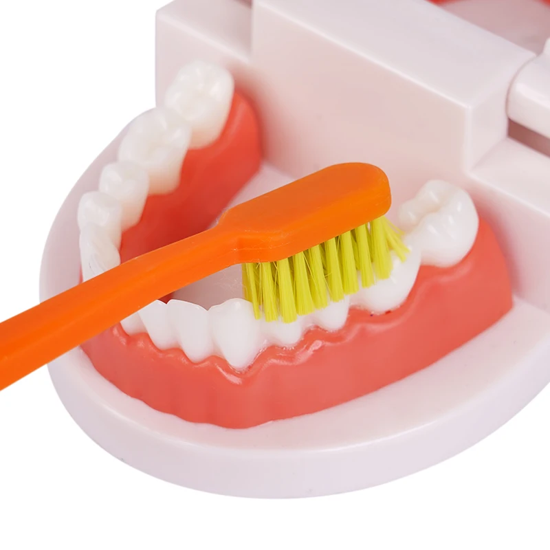 10Pcs Ultra-fine Soft Hair Toothbrush Portable Travel Men Women Adult Tooth Brush Deep Cleaning Oral Care Supplies ﻿ ﻿