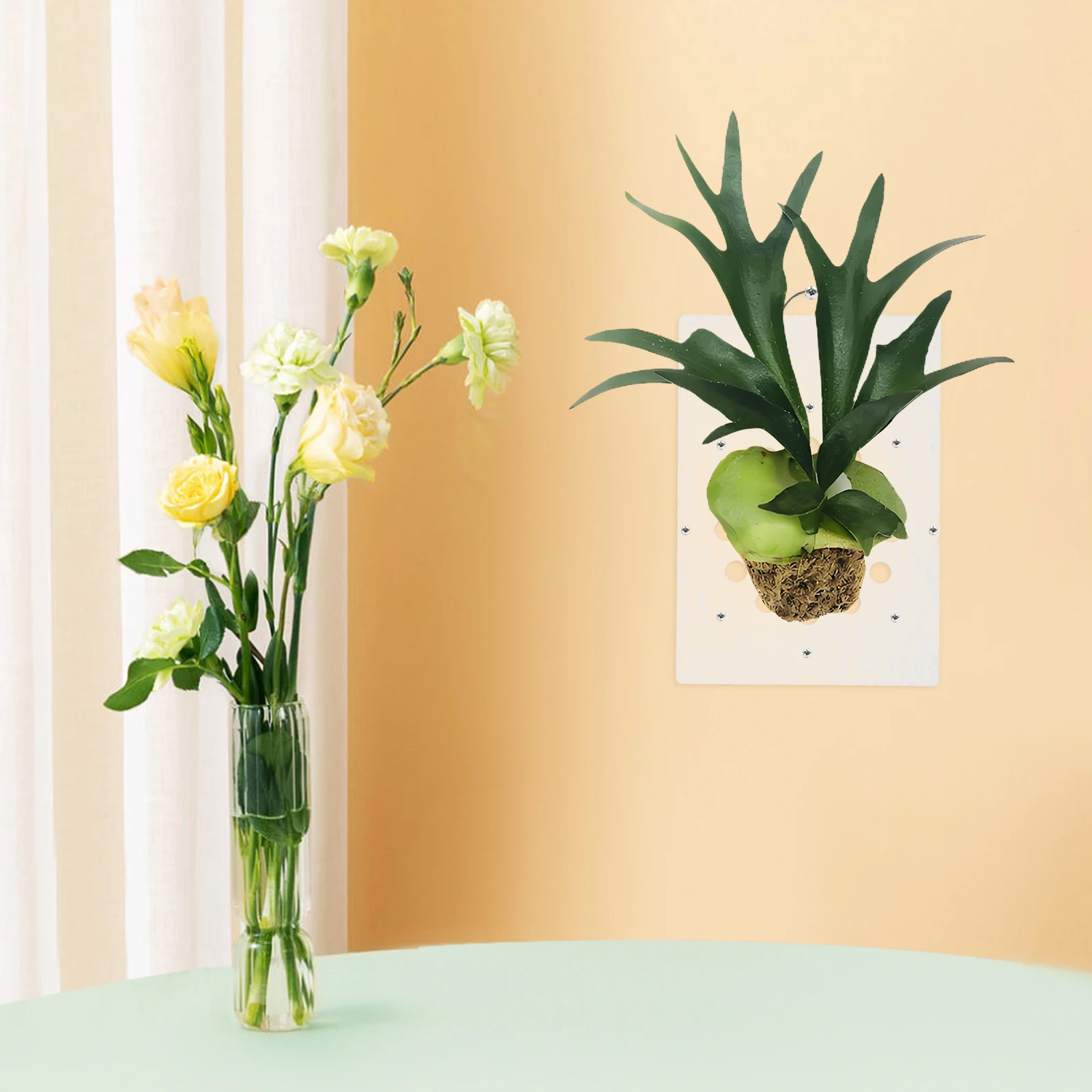 

Staghorn Fern Planting Board Acrylic Wall Hanging Planter Bracket Deer Antler Shape Orchid Mount Durable Practical Versatile