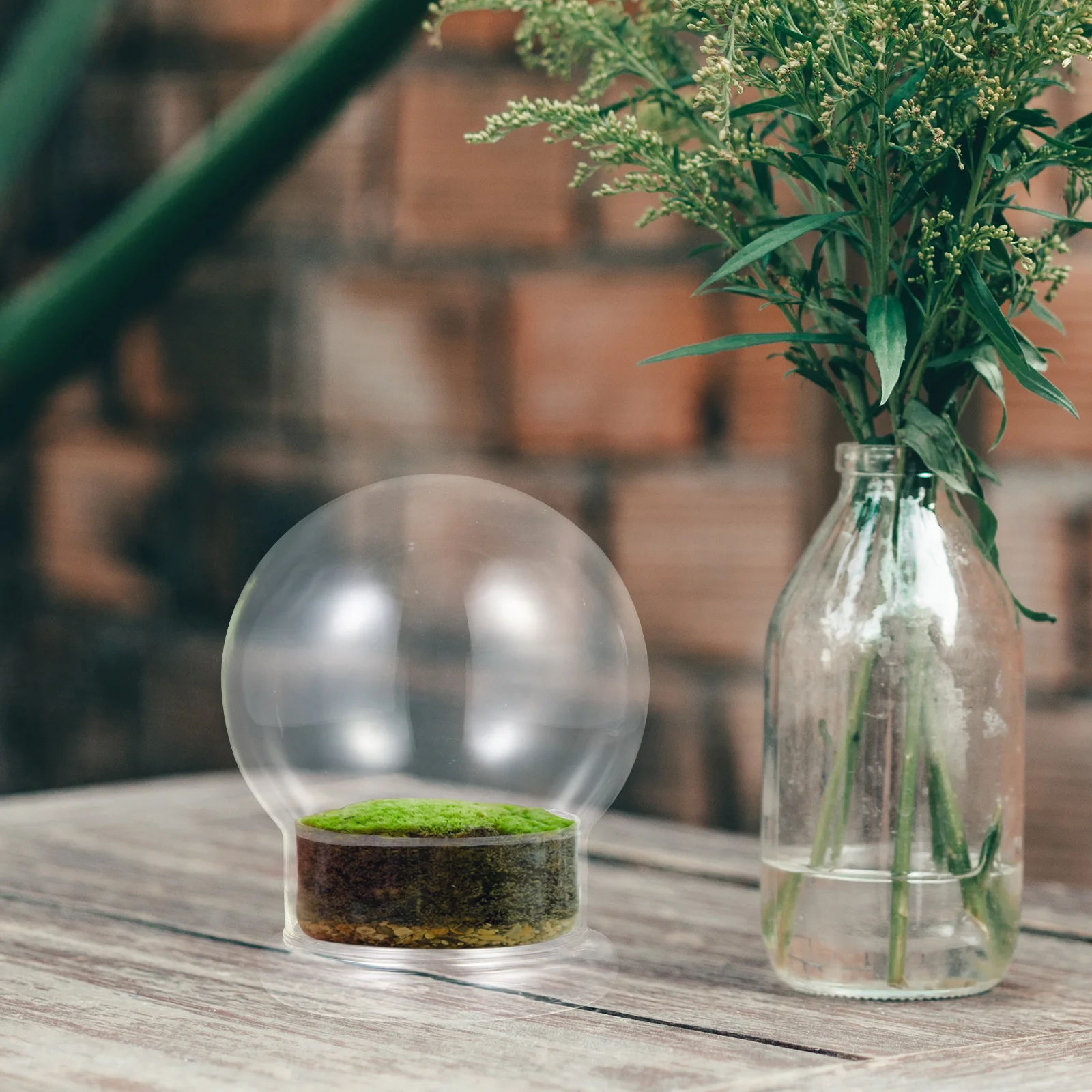

Plants Micro Landscape DIY Bottle Decorative Micro-landscape Terrarium Glass Moss Empty