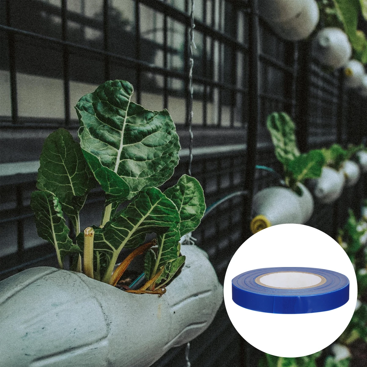 

10pcs 10 Rolls Blue PVC Lapper Tape 30m Plant Ribbon Gardening Adjustable Ties for Stakes Trellis Eco Friendly Suitable Tomatoes