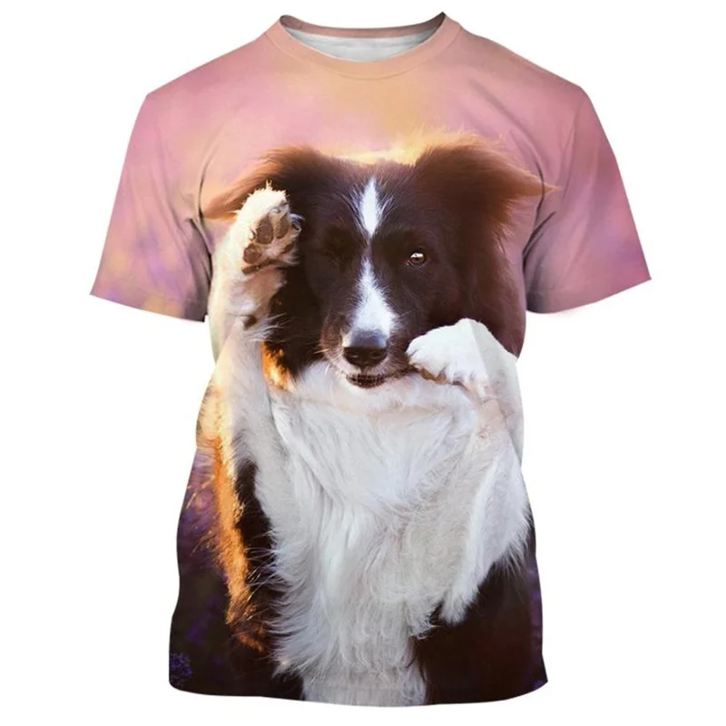 Border Collie 3D Printed T-shirt For Men Fashion Cute Animal Dog Unisex Round Neck Casual Short Sleeve Tee Shirt Clothing