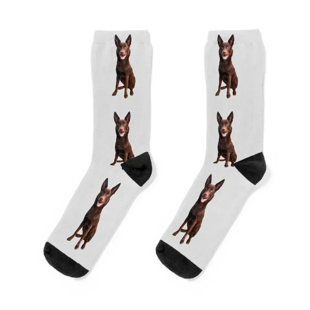 

Kelpie - Australian Kelpie Socks tennis christmas gift men cotton high quality short Socks Female Men's