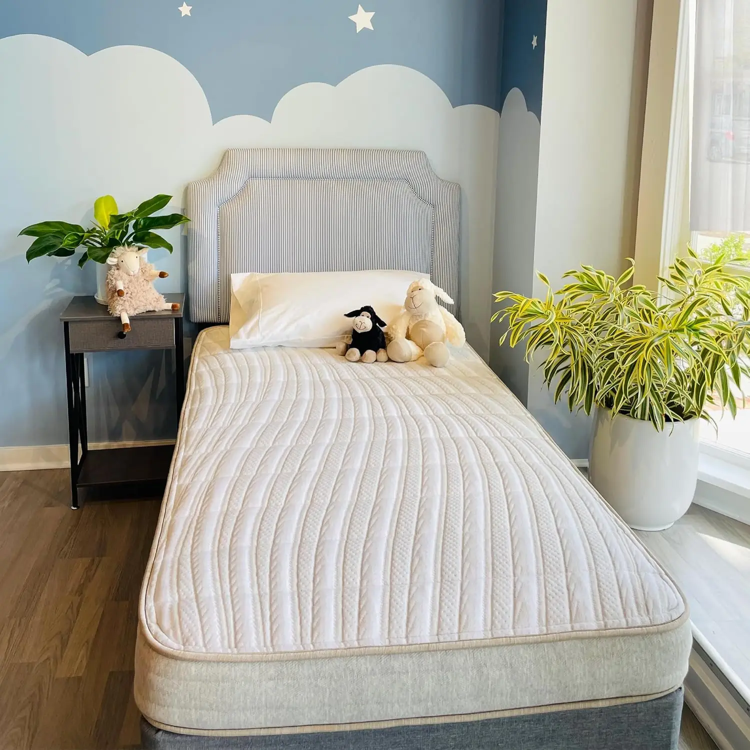 6" Kid’s Mattress Toxin-Free Made in The USA with Organic Cotton Wool Latex Pocketed Coils Bed-in-a-Box ; Perfect for bunk beds