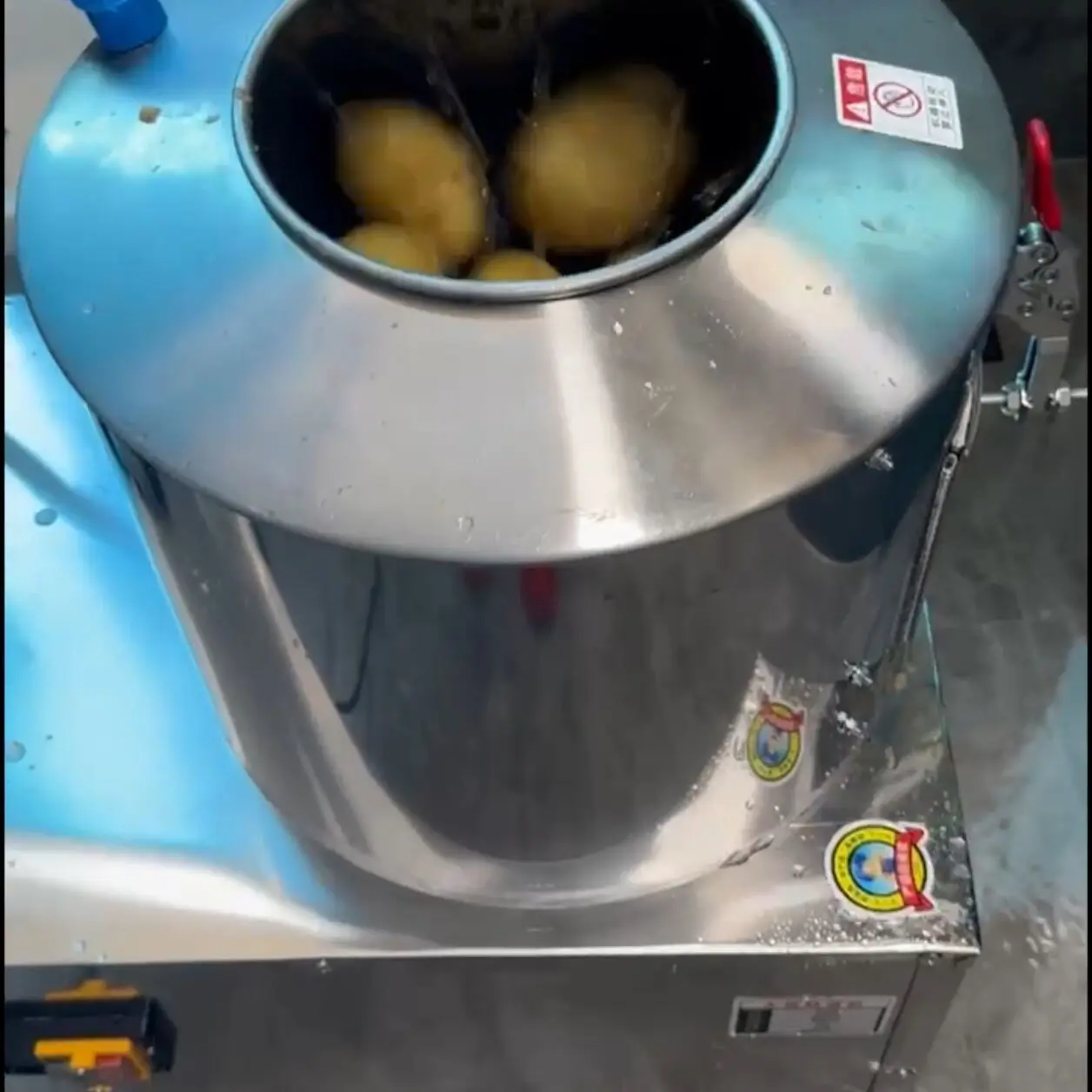 Onion Peeling Machi…