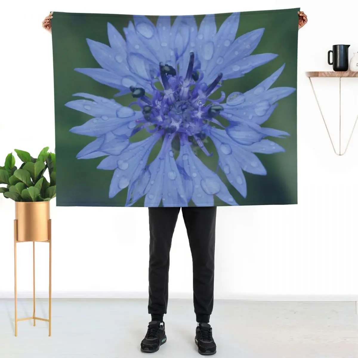 Cornflower blossom cornflower blue raindrop wet flower blue Throw Blanket bed plaid Vintage christmas decoration Plush Blankets