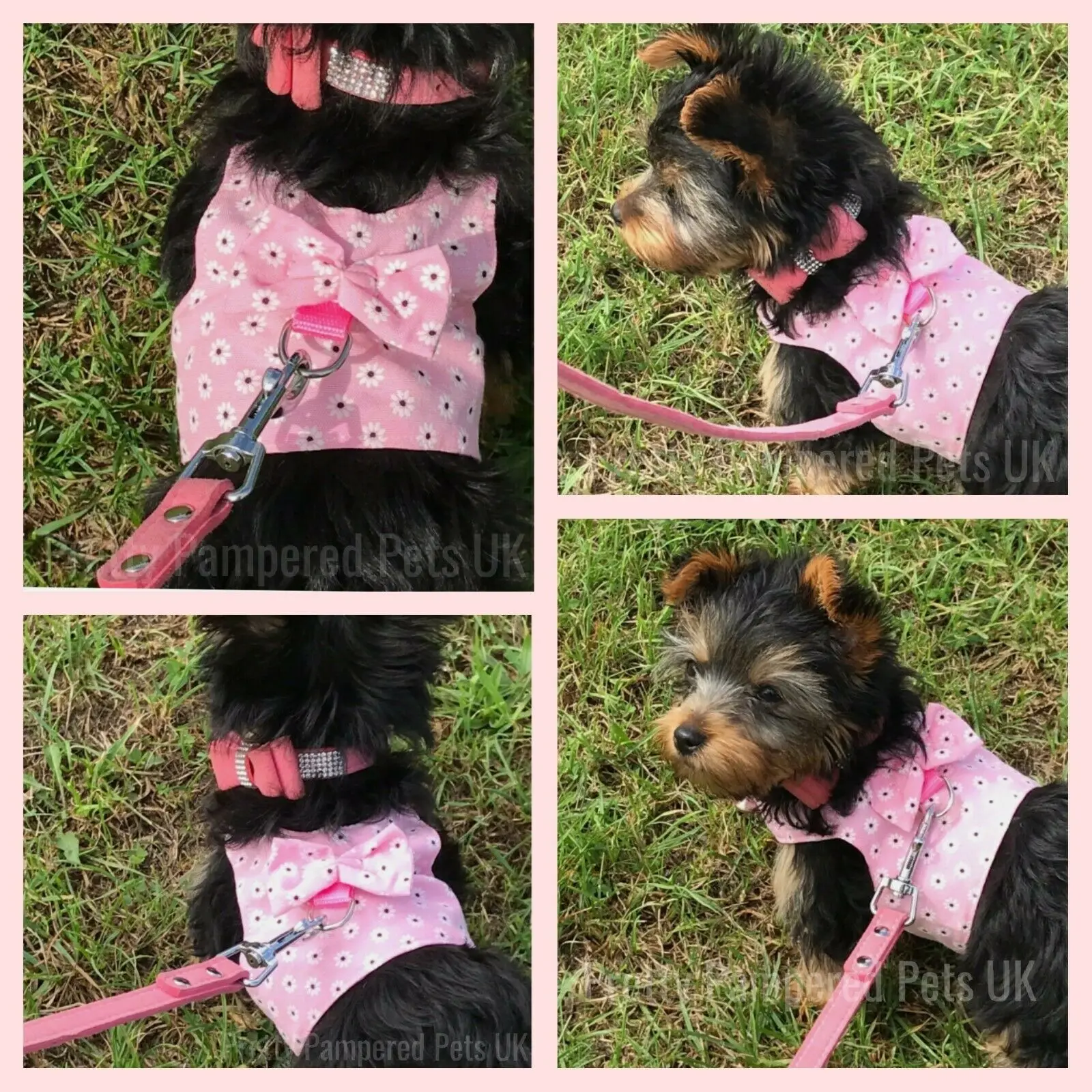 Dog Teacup Chihuahua Harness Lead Mesh Vest XXXS XXS XS for Tiny Kitty Cat Yorkie Soft Vest Leash Set Rabbit Cat Puppy Coat