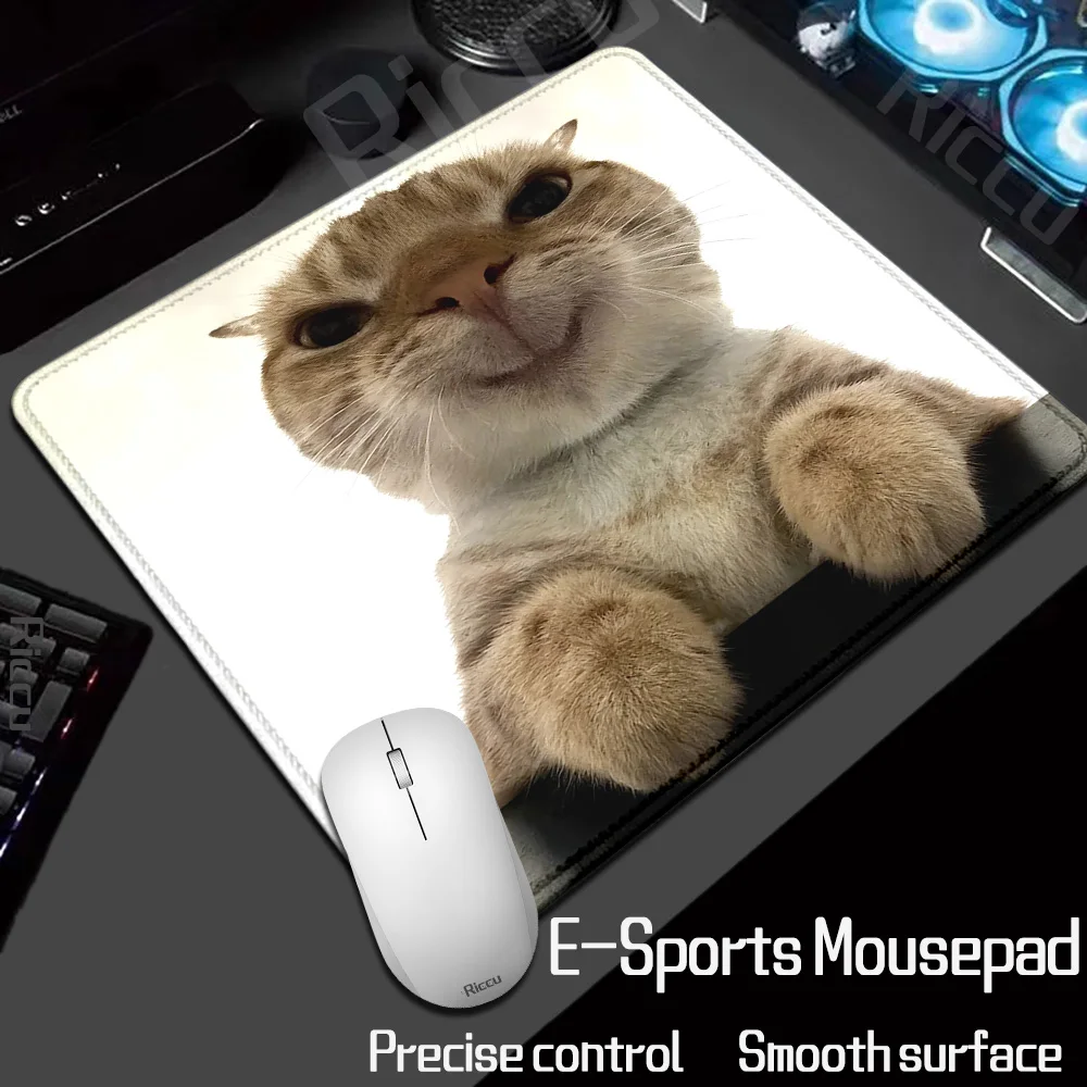 HD XL Kawaii Modische Beliebte Lustige Niedliche Katze Kleine Größe Meme Mauspad Laptop Büro Anime Mausunterlage Gummi Tastaturunterlage Schreibtischunterlage – Detail 10