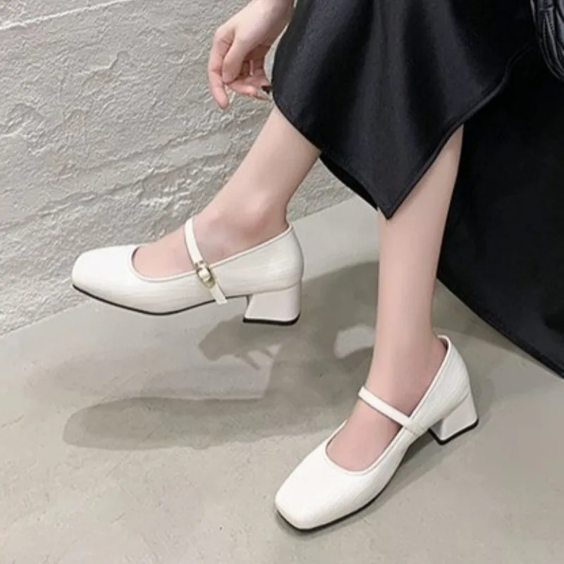 

2026 Spring Square Toe Thick Heel Women Shoes Concise Shallow Buckle Shoes Ladies Elegant Dress Single Shoes