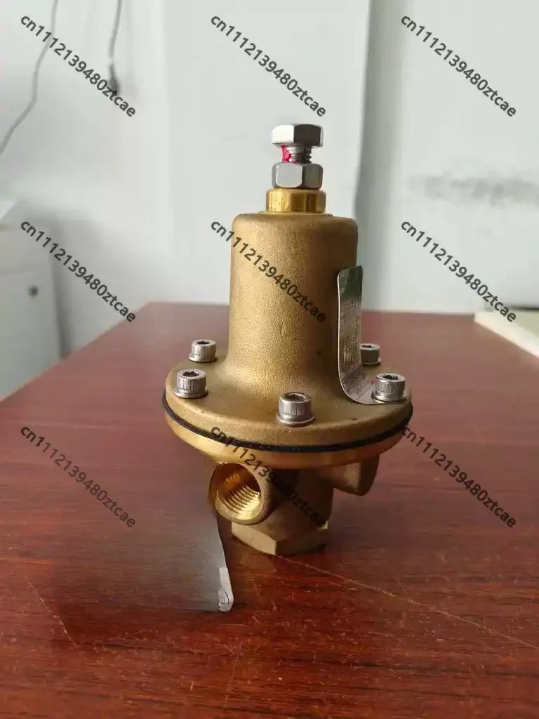 TZ-15 DYS-15C2 Cryogenic Pressure Reducing Stabilizing Valve DN15 1/2 Inch Pipeline Pressure Regulator Fitting
