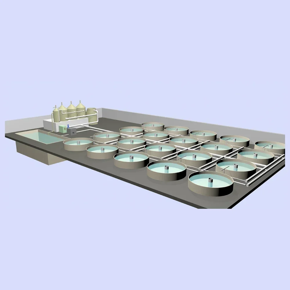 New Ras System Shrimp Culture System,Aquaculture Farming Equipment,Ras Full Setup
