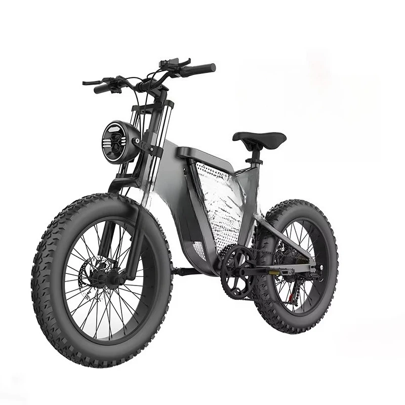 

Shock Absorption Adult Smart Lock High Speed Motor LCD Display Lithium Ion Battery Electric Bicycle