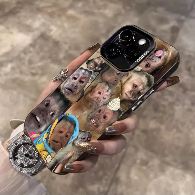 الإبداعية القرد تصفيح جراب هاتف آيفون 17 16 15 14 13 12 11 برو ماكس زائد 17 الهواء 16E X XR XS ماكس غطاء ممتص للصدمات #4