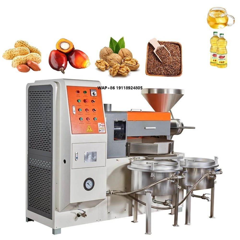 Small Oil Press Machine Peanut Sunflower Different Capacity Commercial Use Coconut Seeds Oil Extractor
