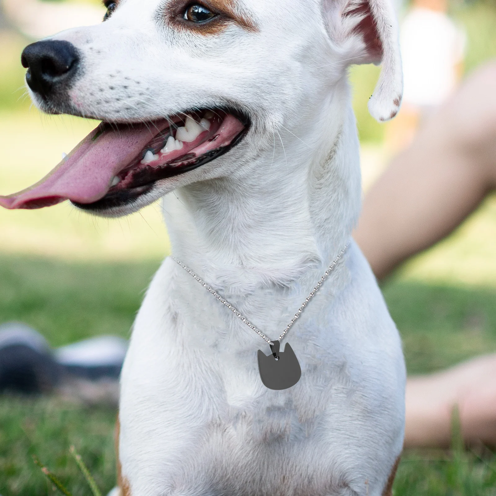 

3 Pcs Cat Id Tags Antilost Pet Dog Blank Name Puppy Doggy Nameplate Engraved for Pets