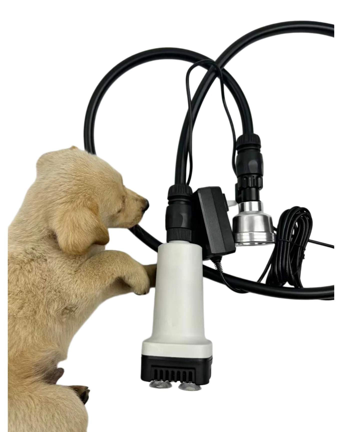 Eco-Friendly Pet Grooming Bathing Machine for Dogs Pressure-Boosting Foam-Generating with Pet Shampoo
