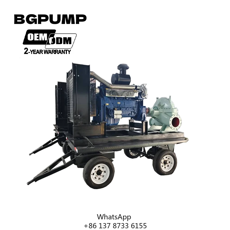 10Hp 2 Inch High Pressure 6 Inch Metal Farm Irrigation System Diesel Water Pump For Agriculture