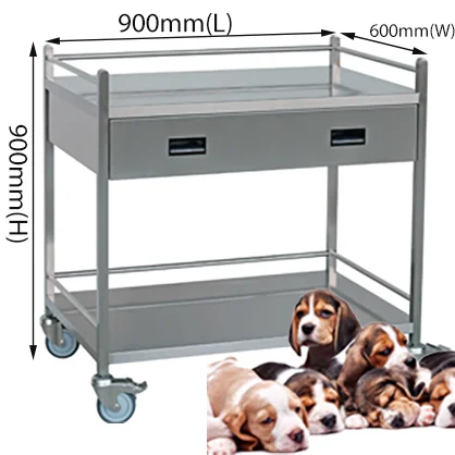 Aeolus Animal Deluxe Mobile Tool Cart with Cabinet Pet Veterinary Tool SS Instrument Trolley 600mm1 drawer with Rails