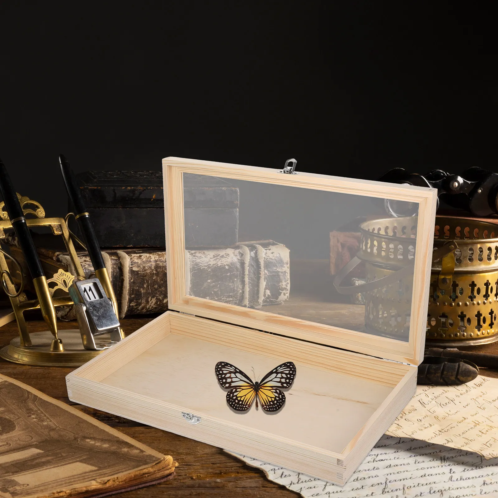 Premium Transparent Insect Specimen Display Box Wooden Butterfly Collection Case Dustproof Desktop Adornment Specimen Storage