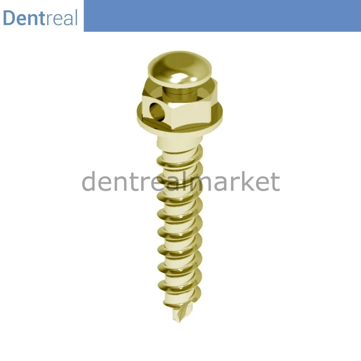 Dentreal - Orthofix Orthodontic 2.0 Screw Refil - Orthodontic Mini Implant-Implant-Implant Screw - 5 Pcs