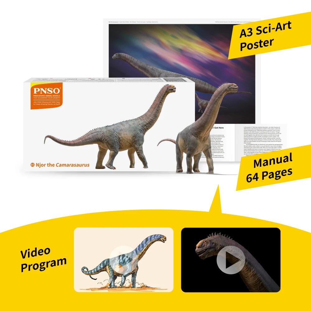 Modelos de dinosaurios prehistóricos PNSO: 85 Njor The Camarasaurus