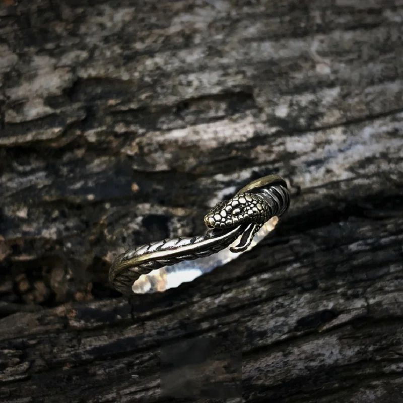 Vintage Ouroboros Snake Ring Men Jewelry Adjustable Exquisite Carved Snake Ring S925 Male Gold Collision Tail Finger Accessories