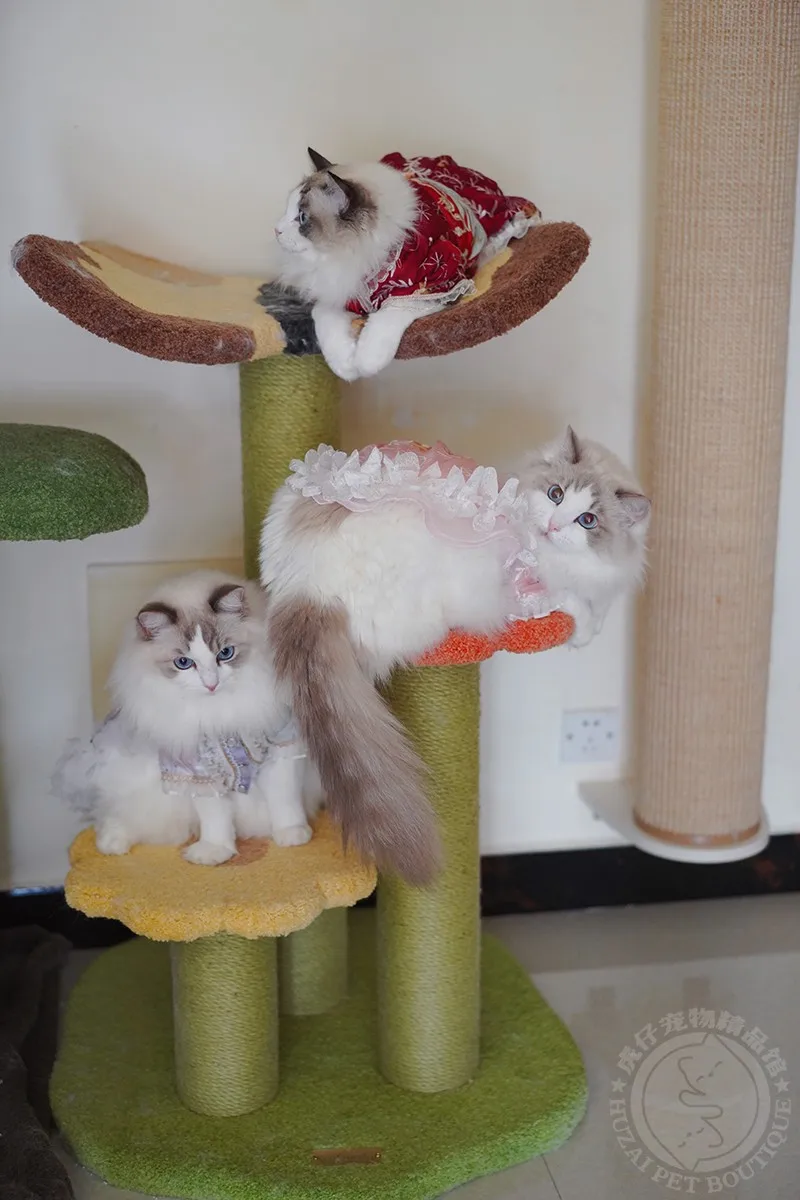 Butterflycat climbing frame cat castle cat tree scratch-resistant plush cat nest small climbing frame flower clustercatclimbing