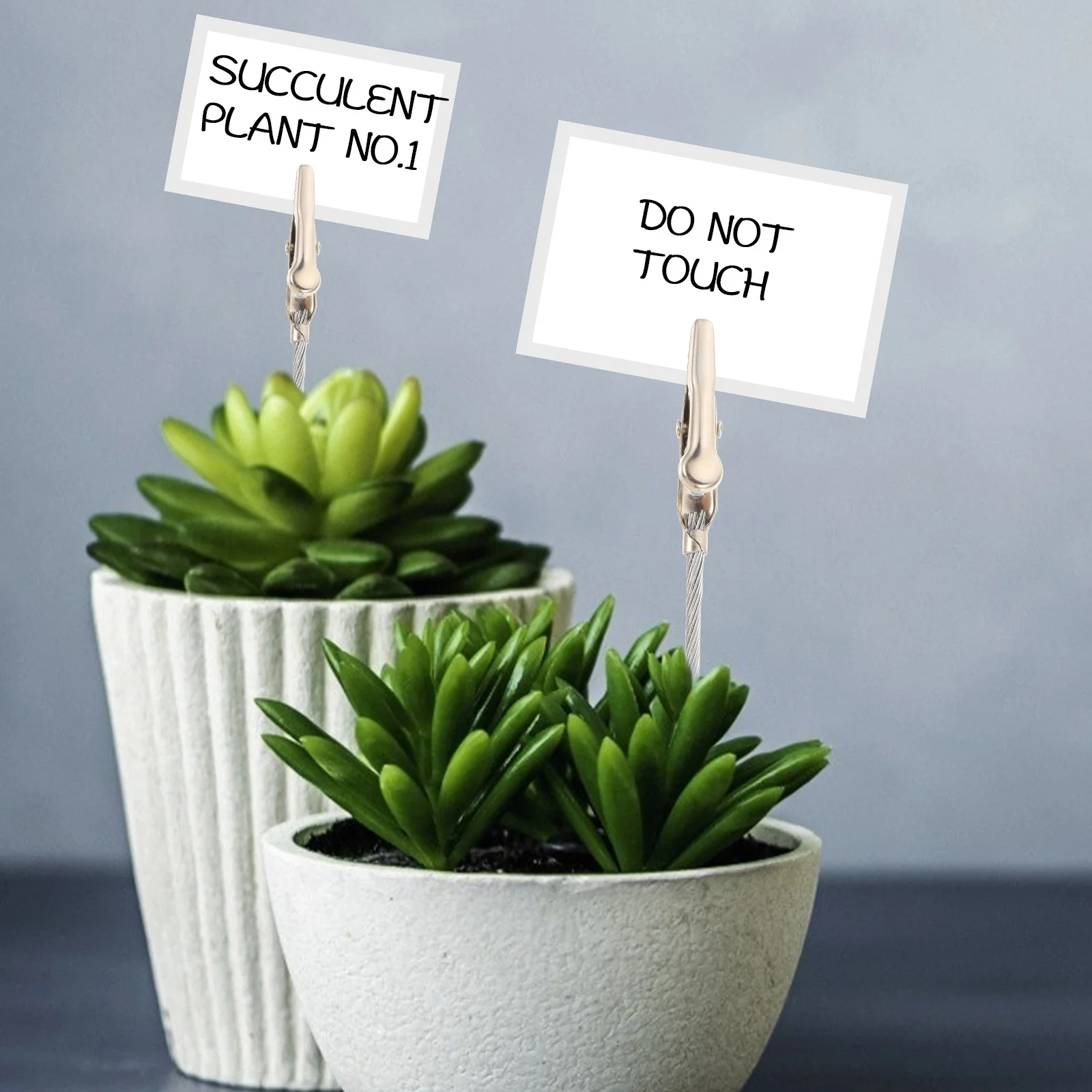 

50pcs Alligator Clip Photo Holder Long Tail Metal Wire Wall Picture Clips For Diy Decoration Display Storage Memo Note Card