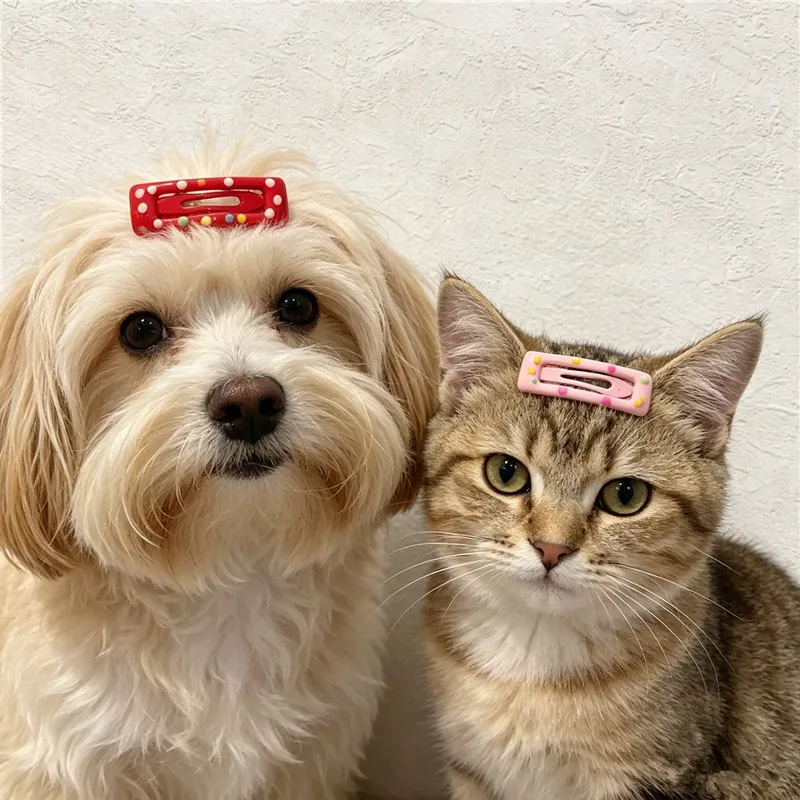 Pinzas para el pelo de mascotas con forma de hueso, bonitas horquillas de resina coloridas con puntos para perros y gatos, pinzas BB para perros pequeños, cachorros, gatitos, accesorios de peluquería para mascotas