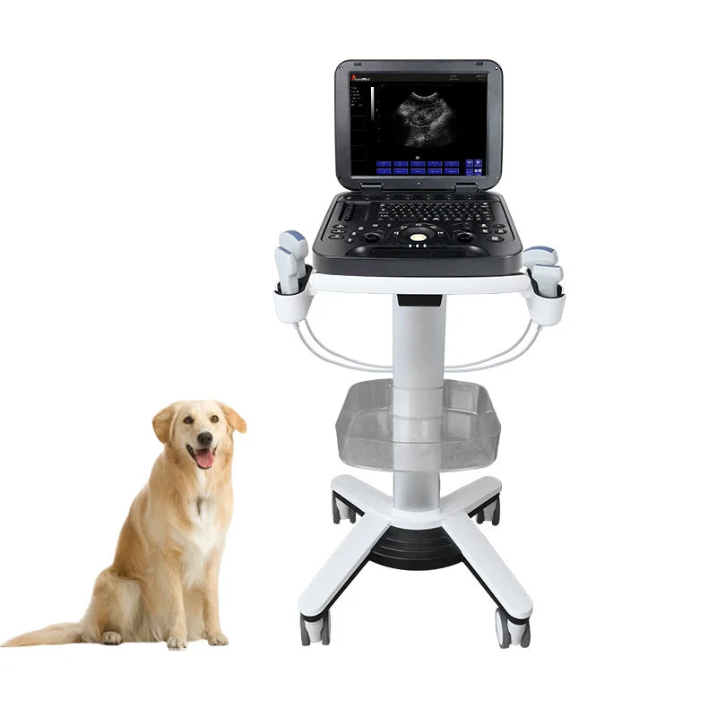 

Periodmed pet hospital ultrasound veterinary low cost portable ultrasound scanner