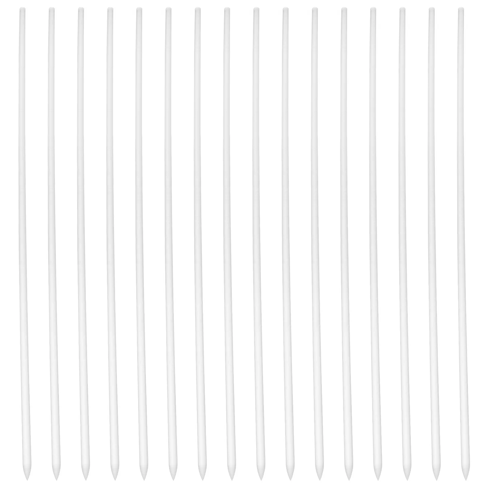 

16pcs Acrylic Plant Stake Clear Support For Vine Plants Garden Indoor Outdoor Use Stem Pole Spiral Plant Supports Garden