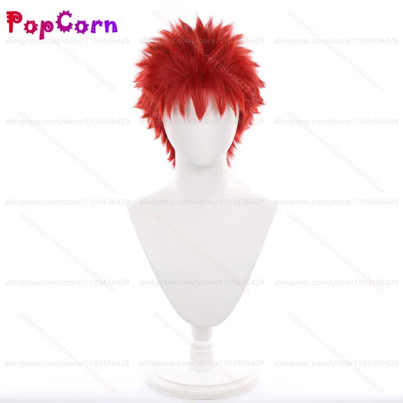 aa124LQEmiya Shirou 25 سنتيمتر شعر مستعار أحمر قصير أنيمي تأثيري مقاومة للحرارة بيروكات صناعية لحفلة الهالوين اليومية زي Ev