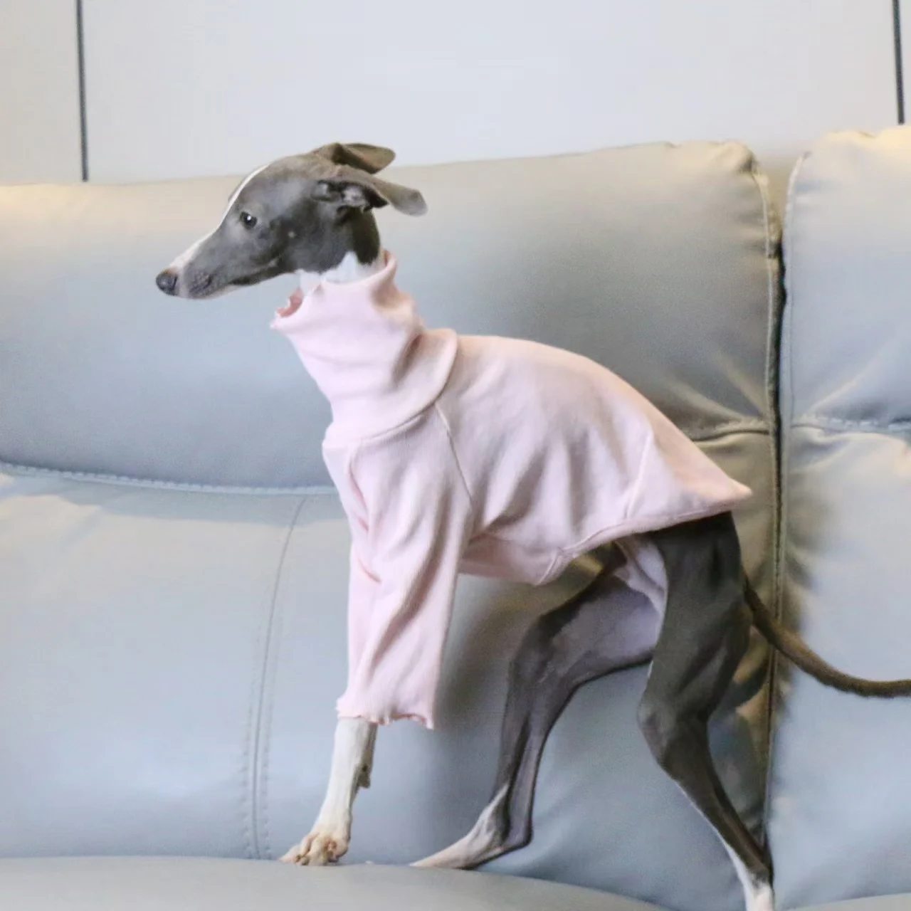 Vestiti per levrieri italiani Camicia Whippet con fondo elastico rosa filettato a collo alto Abiti morbidi e confortevoli per animali domestici