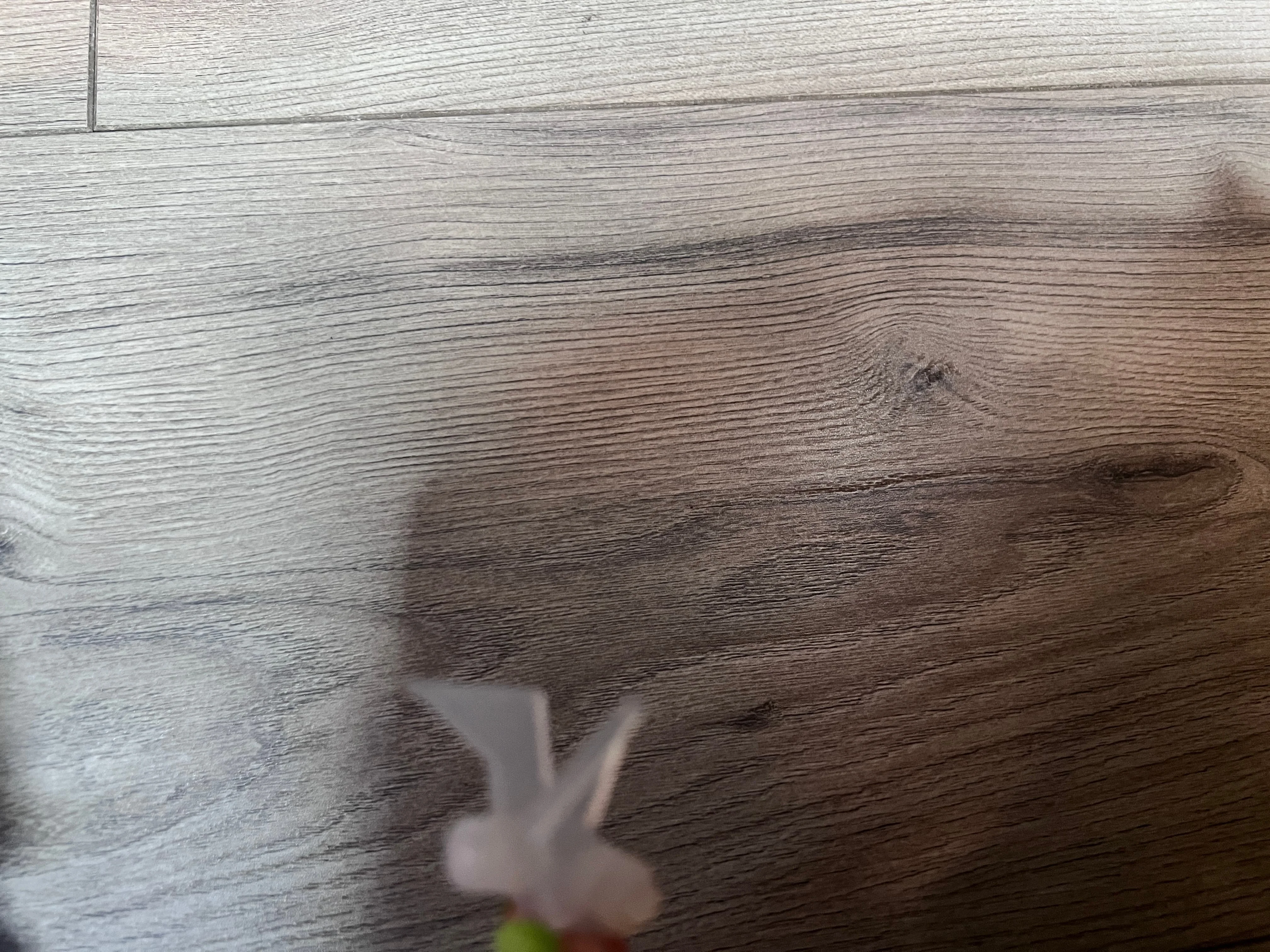 

New Improvement Separator Claw Upper Roller Fuser Picker Fingers for Ricoh MP 2075 7001 7500 7502 8000 8001 7503 Copier Parts