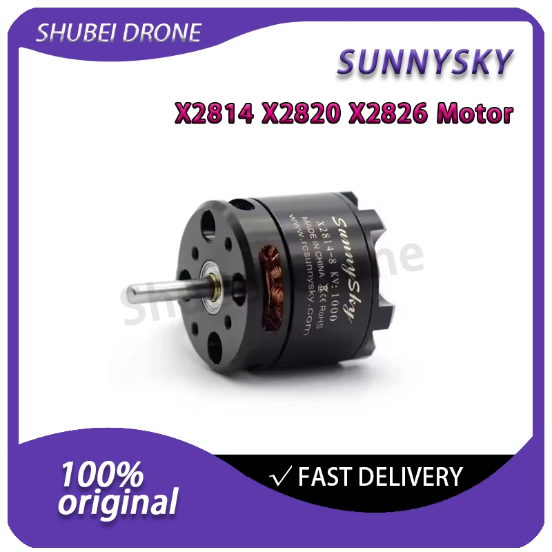 SUNNYSKY X2814 X2820 X2826 KV900 KV800 KV550 KV1000 KV920 KV740 Outrunner External Rotor Brushless Motor For RC Airplane Model