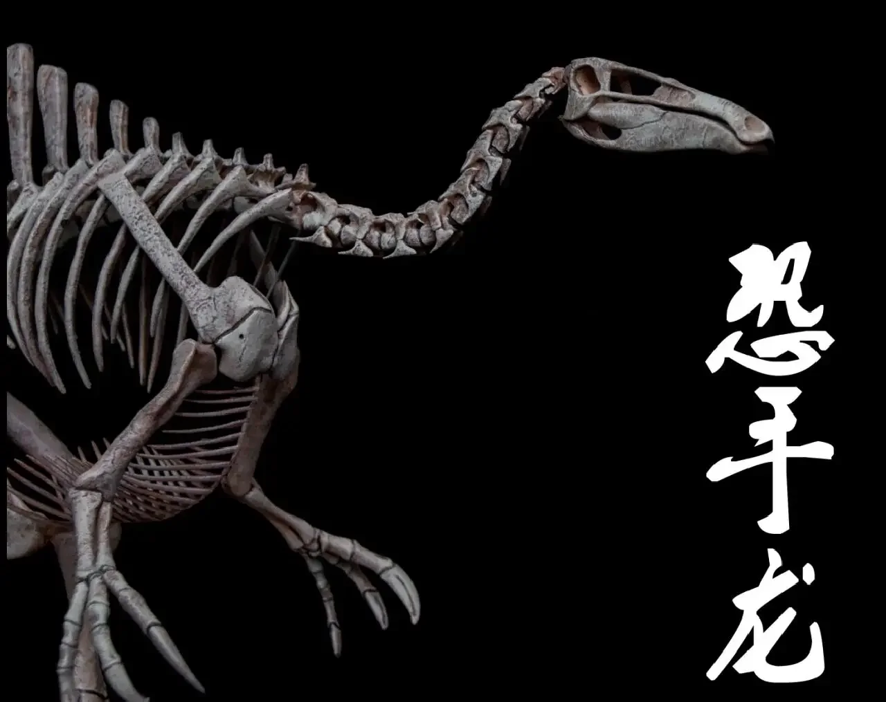 

VWUVWU 1/20 Deinocheirus Skeleton Model Dinosaur Animal Scene Desk Decoration Birthday Gift Toy Dinos Collector GK Accessory