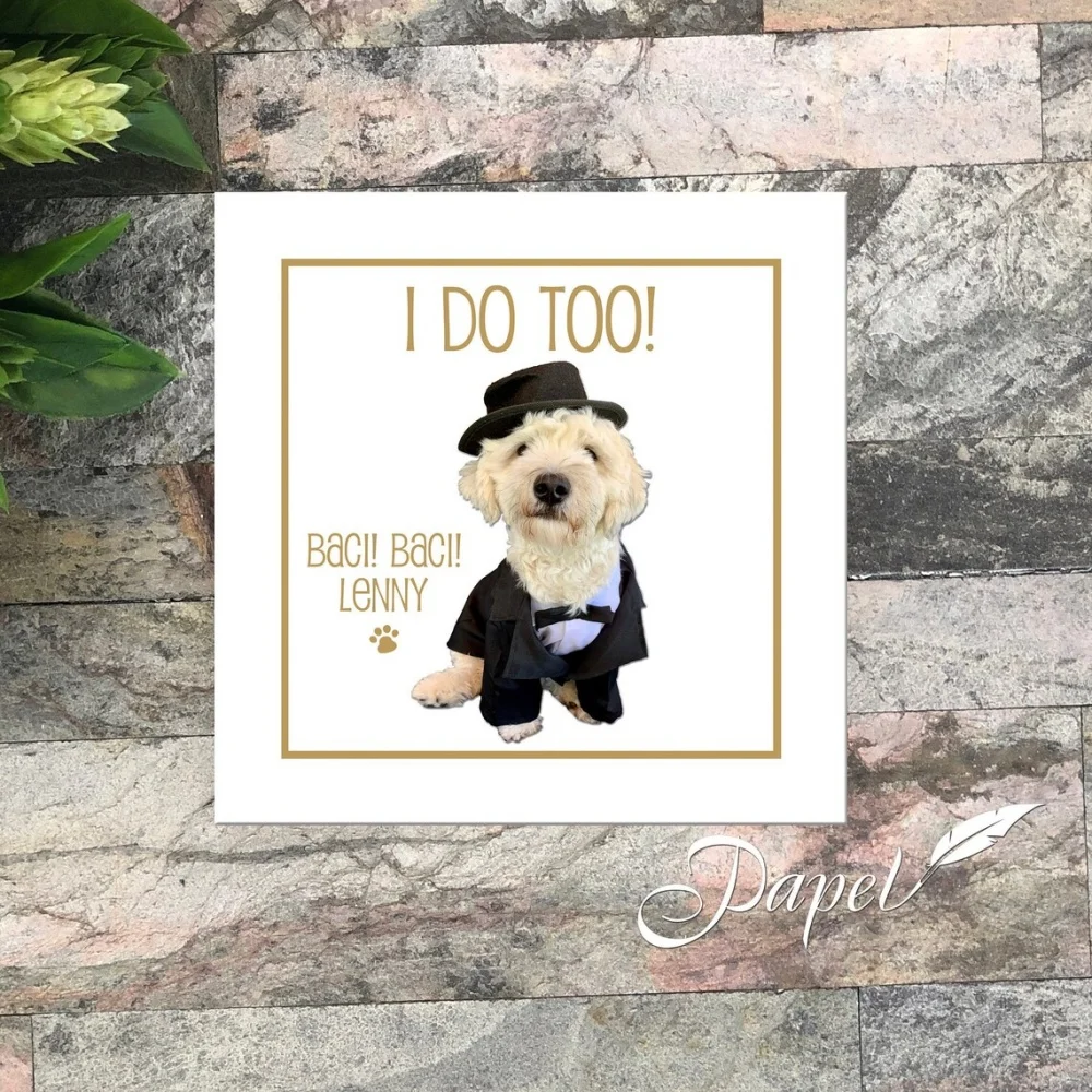 50pcs Personalized Dog Cat Photo Wedding Cocktail Napkins, Reception Napkins, Cocktail Napkins, Personalized Napkins with your d