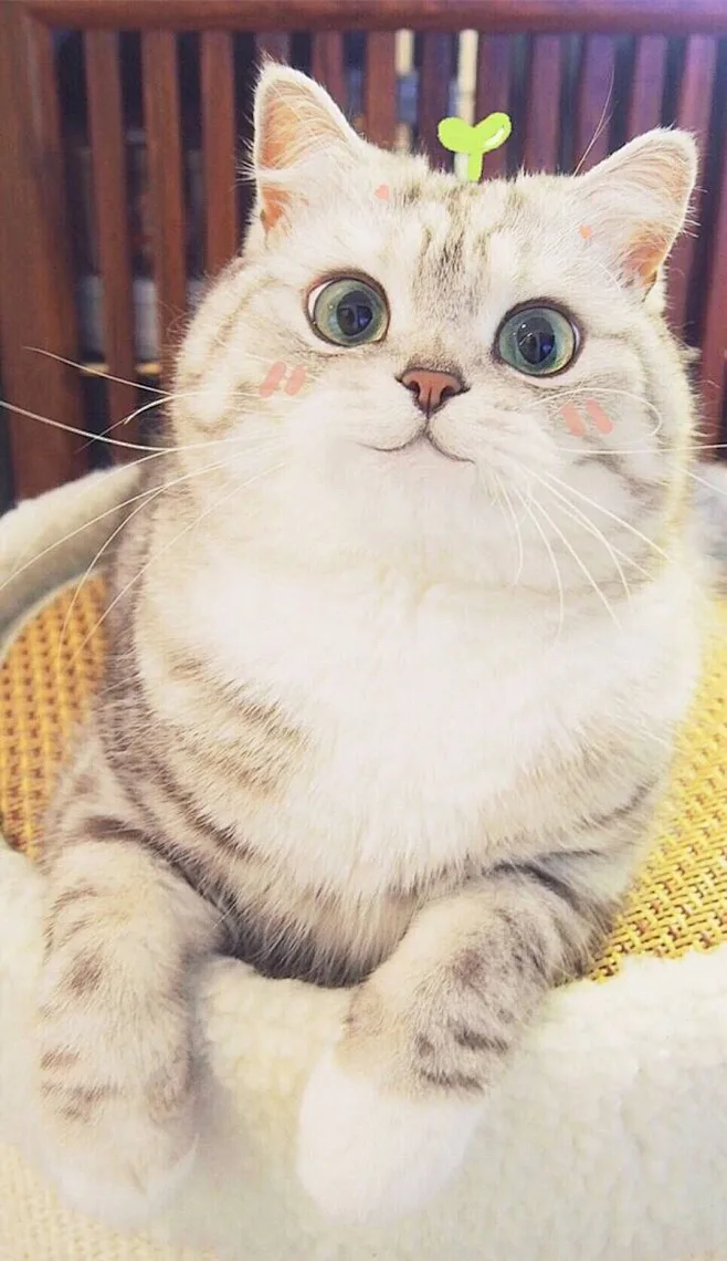 

1.9inch 75mm Off Road Buggy Tires Wheel 12mm Hex Hubs for Wltoys 144001 1/12 1/14 1/10 Scx10 Trxs Trx-4 Tamiya RC Car