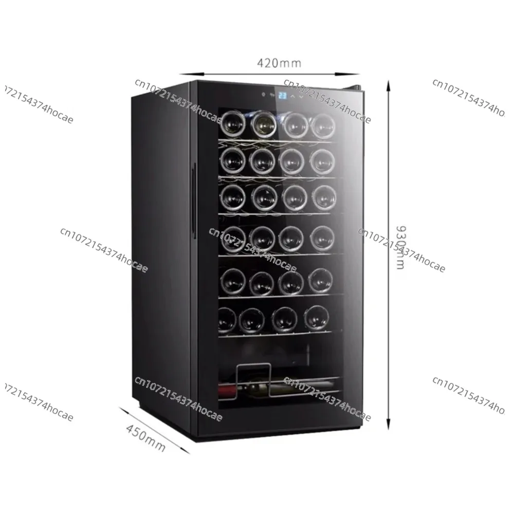 Large Capacity Freestanding Wine Fridge for 32/48 Bottles Home Wine Storage
