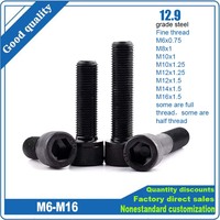 Fine Thread DIN912 M6 M8 M10 M12 M14 M16 Pitch 0.75 to1.5mm 12.9 Grade Alloy Steel Allen Hexagon Hex Socket Cap Head Bolt Screw