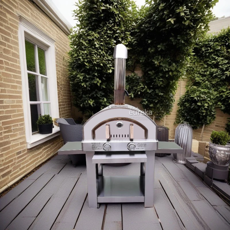 

Backyard Outdoor Propane Gas-Powered Portable Pizza Oven For Pizza Nights
