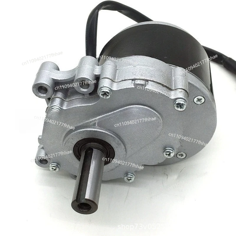 MY1016Z Permanent Magnet DC Brushed Low Speed Secondary Geared Electric Vehicle Motor 24V250W