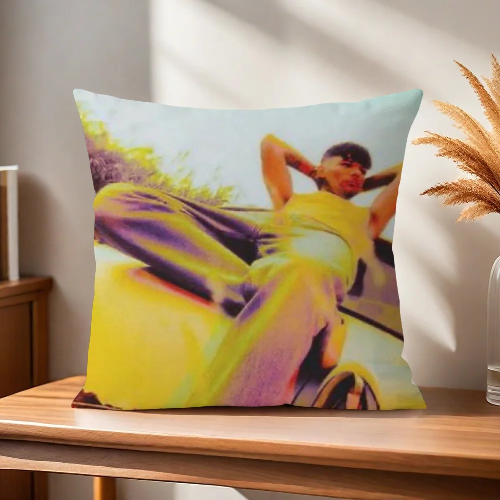 L-Louis How Did I Get Here T-Tomlinson Kissenbezug Kissenhülle für Zuhause, Sofa, Wohnzimmer, Büro, Café, Auto – Detail 6