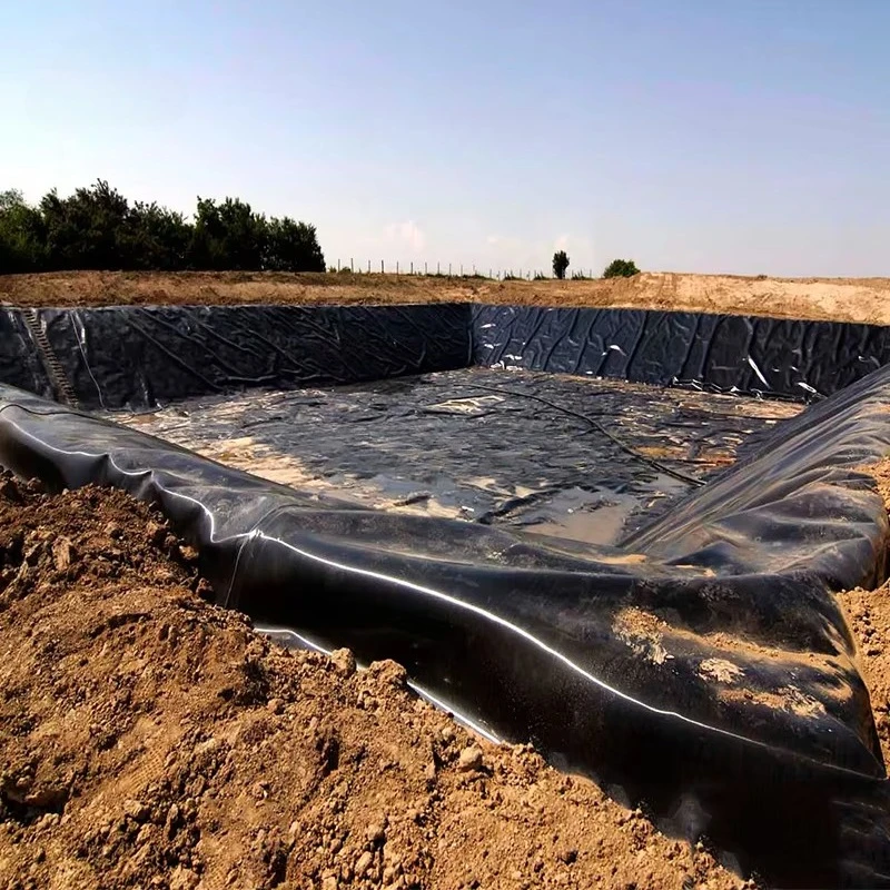 Custom Smooth or Textured HDPE Geomembrane for Fish Pond Dam Reservoir Landfill Mining and Wastewater Projects