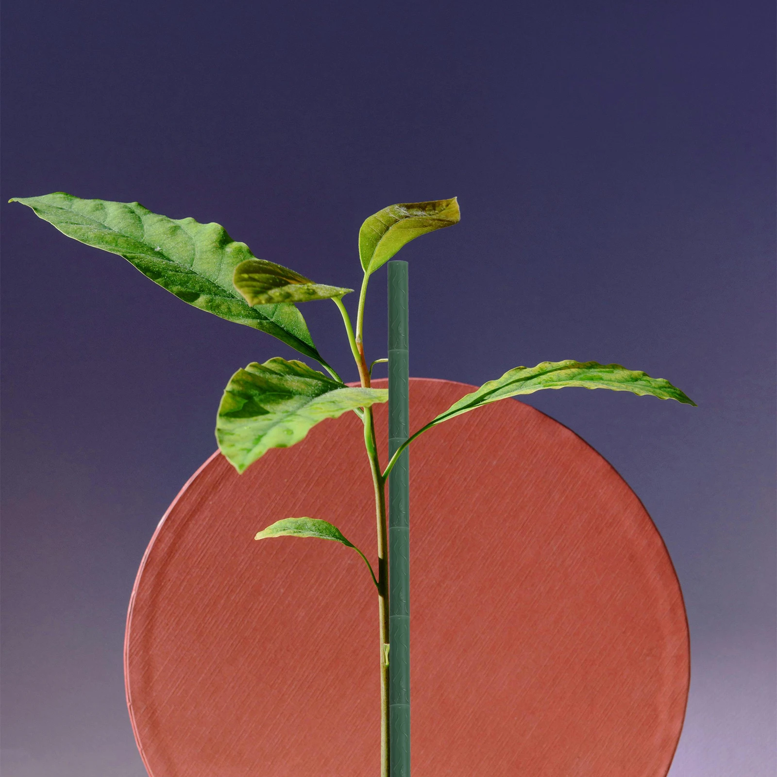 

20Pcs Plastic Garden Stake Connectors 8mm Plant Support for Tomato Eggplant Grape Trellises Greenhouse Frame Garden Stake Rods