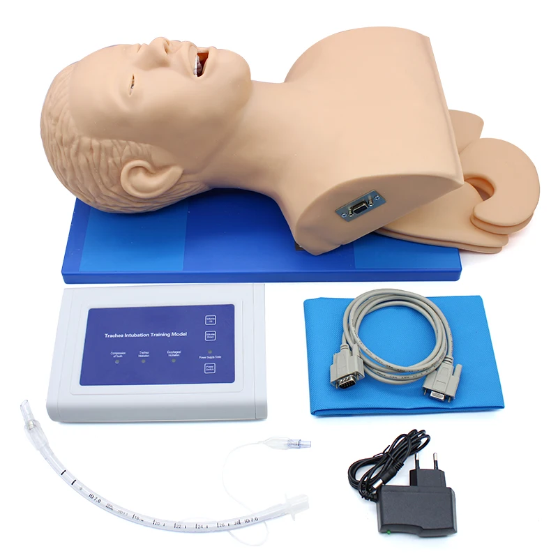 Intubation Manikin Study Teaching Model Airway Management Trainer PVC With Teeth 110-220V