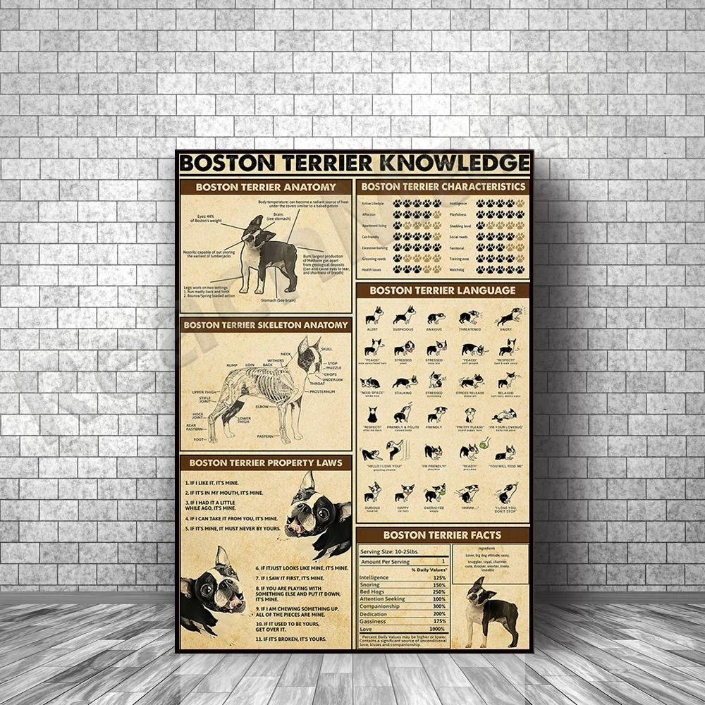 Boston Terrier Knowledge Frameless Poster, Boston Terrier Print, Animal Decor Canvas Print Image